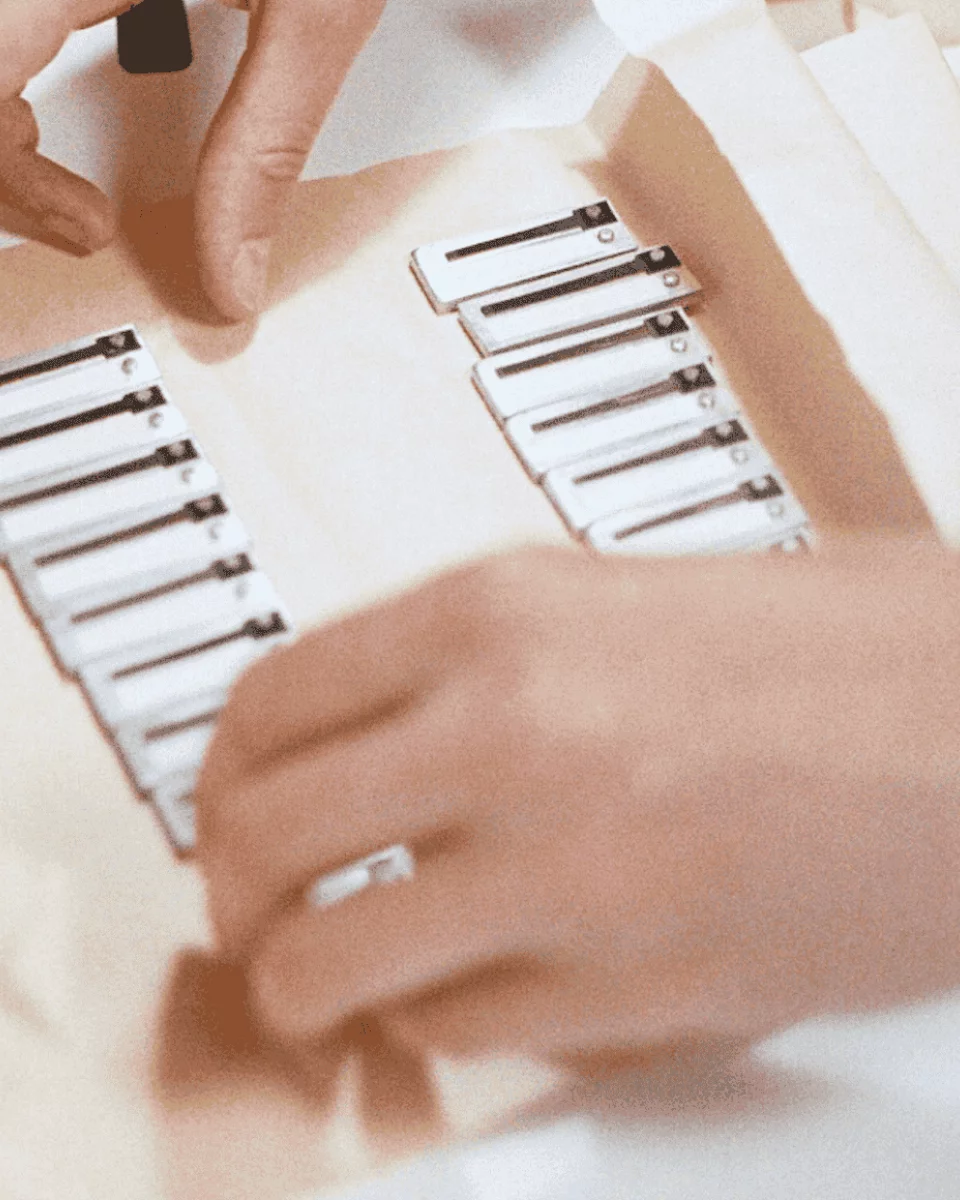 Modifications & Sonorisation - Service de Paul Pichot Accordéons